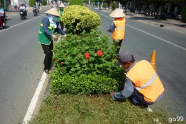 Hiệu quả sử dụng vốn DNNN và DN cổ phần có vốn nhà nước - Chuyên đề công tác xây dựng Đảng - THVL